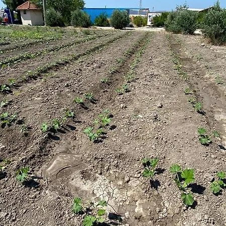 Yes_chef Camping Alaçatı